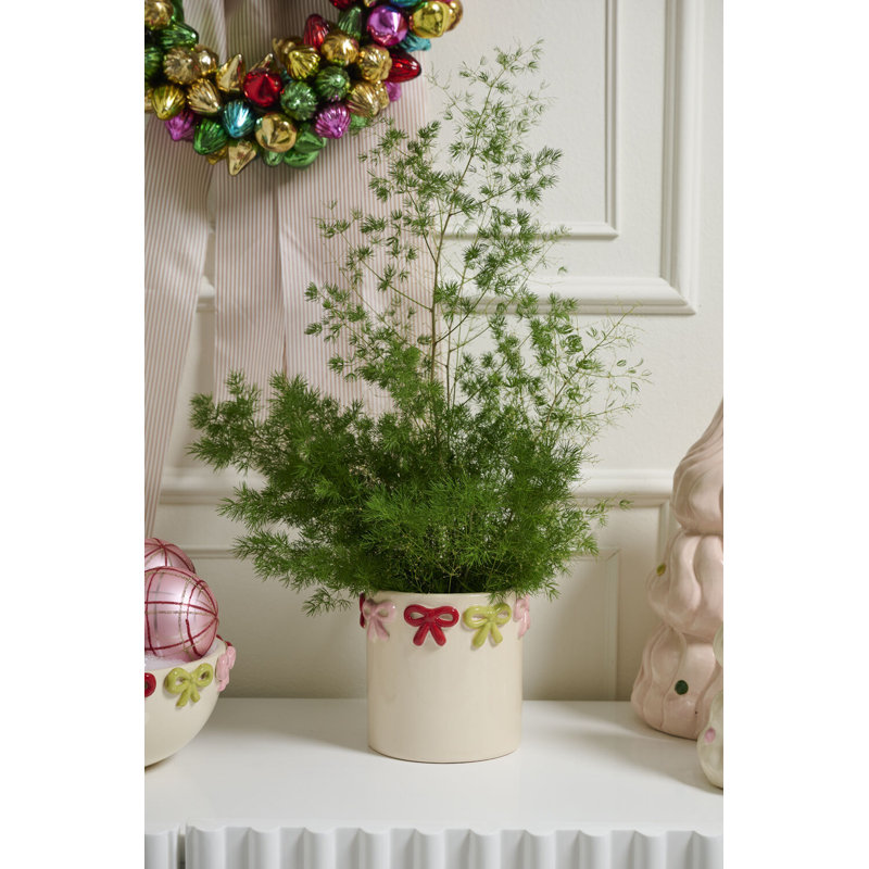 Pot Ribbonelle 5,5 po x 5,25 po