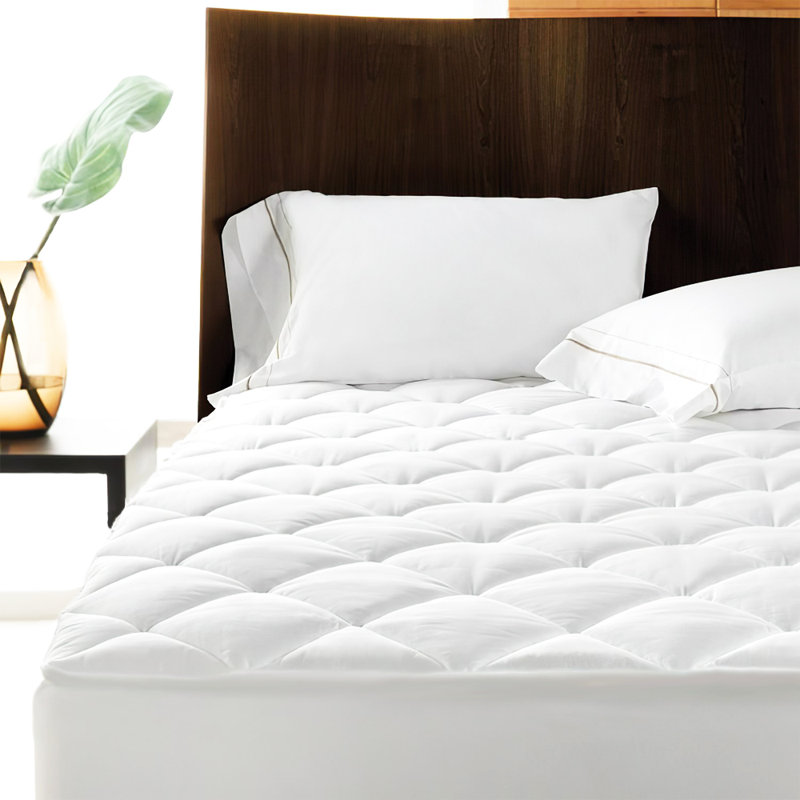 Anim Fitted Mattress Protector Case Pack, Single (3')
