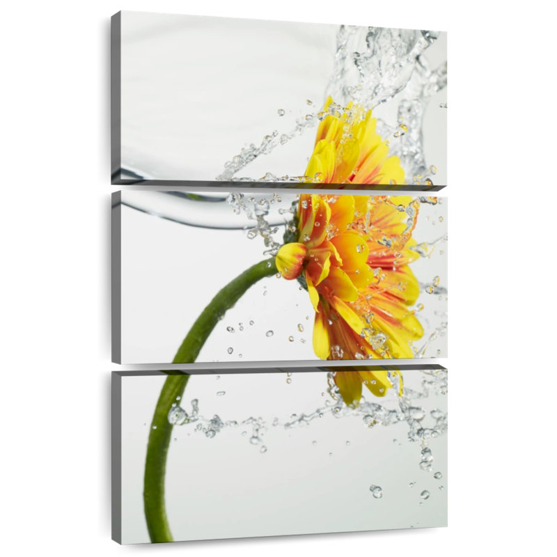 Harnek Daisy Water Splash, H 50 po x l 32 po