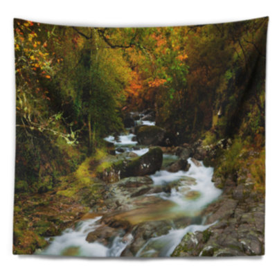 Rivière qui coule en tapisserie d'automne