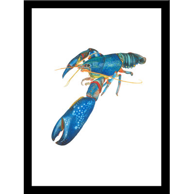 " Blue Lobster " by Damon Crook