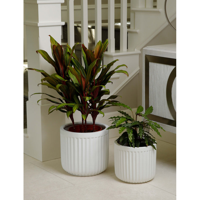 Pot à fleurs en résine Launcest, H 15 po x l 16,5 po x P 16,5 po, Blanc