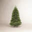 6 pi Sapin Dunhill