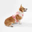Harnais pour animal de compagnie Arlo-112400937-128618012