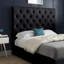 Alegra Upholstered Bed-1800826427-1800826426