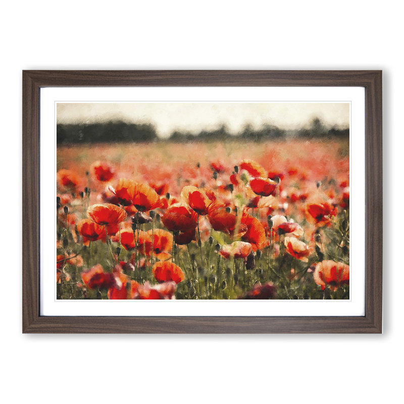 Field of Poppies Vol.1 - Framed Print, 27cm H x 36cm W x 2cm D, Walnut Framed