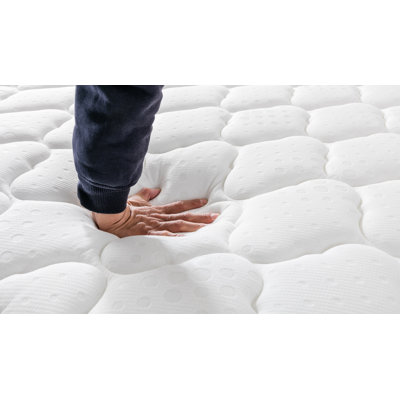 Wayfair Sleep Mattress