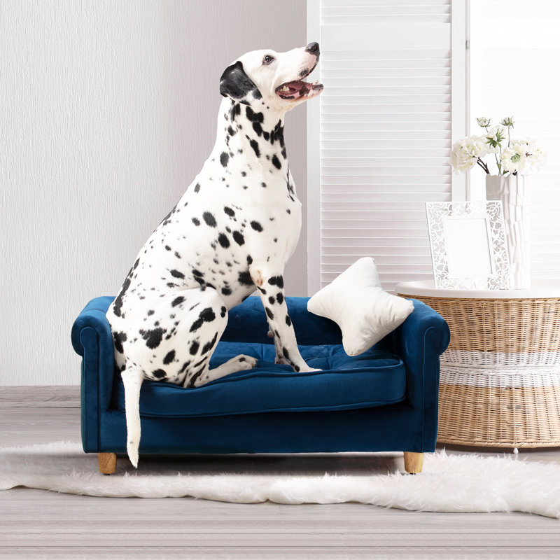Canapé pour chien, Bleu marine