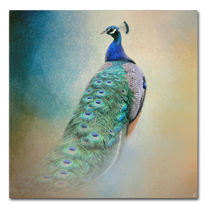 «Vidur Peacock 4» par Jai Johnson, reproduction d'art graphique sur toile, H 35 po x l 35 po