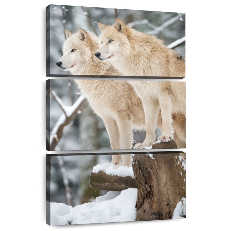 Deux loups Brampt, H 74 po x l 48 po
