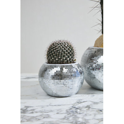 Braeden Disco Pot