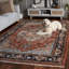 Samarkand 100 One Hundred Fourteen Area Rug In Rust / Charcoal-1294232771