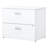 36'' Wide 2 -Drawer File Cabinet