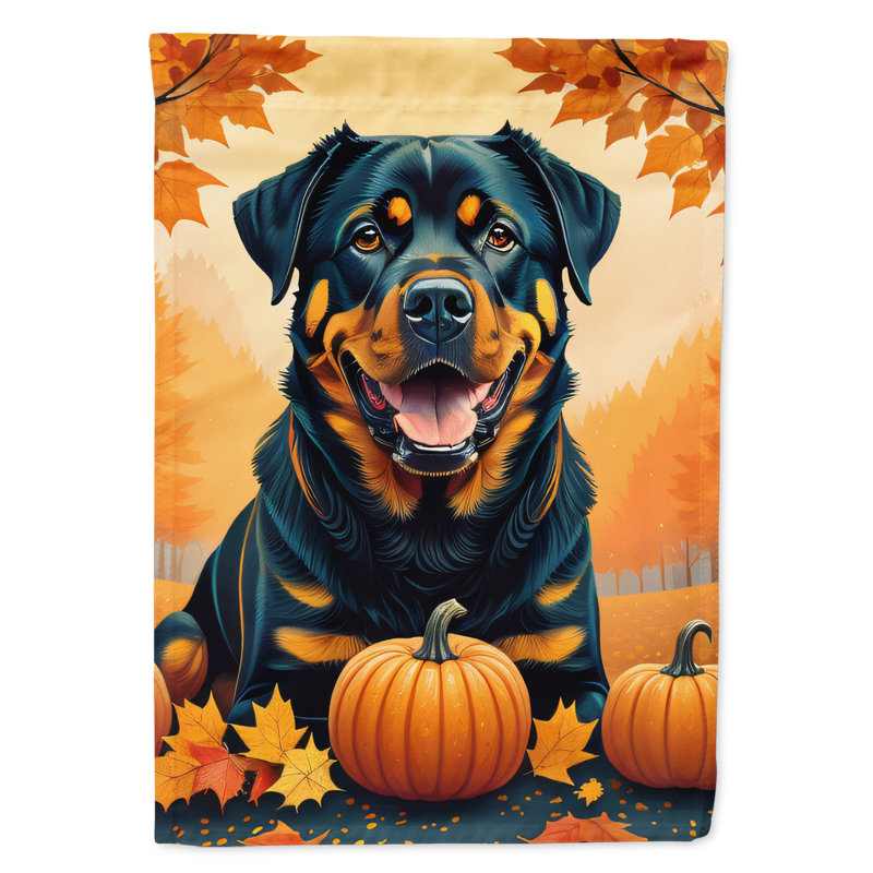 Double Sided 15.5'' H x 11.25'' W Polyester Garden Flag