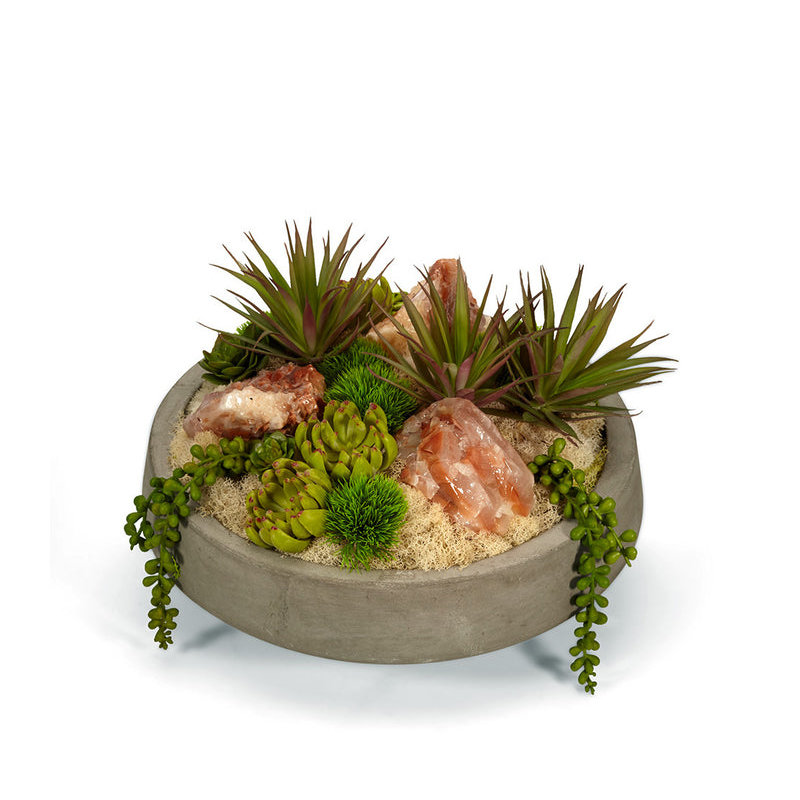 Plant in Concrete Pot