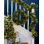 3.5' H Lighted Artificial Pine Christmas Tree