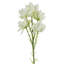 Pack of 6 x 60cm White Starflower