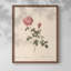 «Vintage Floral Print CXL III» sur papier-1489687911-1489687910
