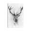 Red Deer by Alexis Marcou - Wrapped Canvas Print-56675109-42155755