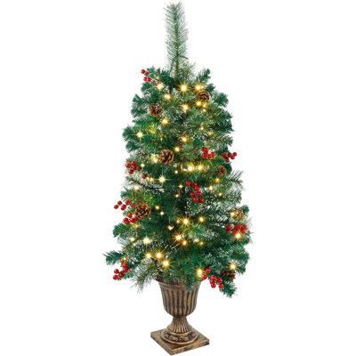 Lighted Spruce Christmas Tree