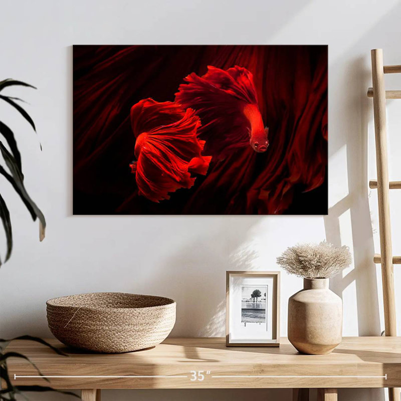 Poisson rouge Betta Brampt Fiery, H 8 po x l 12 po