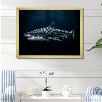 " Tiger Shark Territory II "