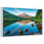 Floating Frame White