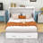 Dulci 1 Drawer Wood Murphy Bed with Sockets & USB Ports-1273290230-1273290228