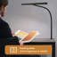 Lampe de bureau en métal Jashan
