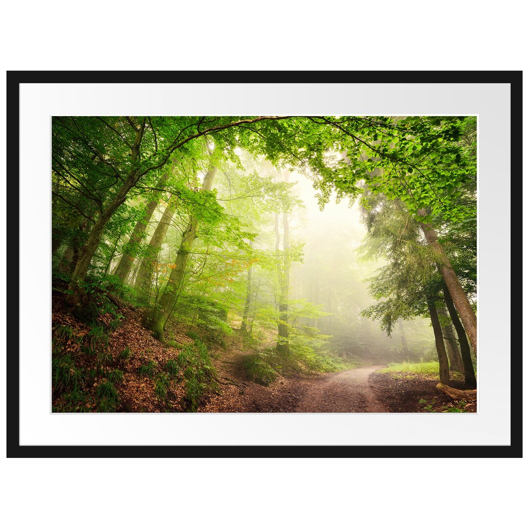 Gerahmtes Poster Sonnenstrahlen Waldweg