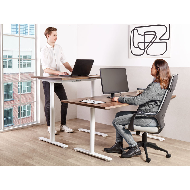 Amarianna Adjustable Metal Base Standing Desk, White, Brown, 119cm H x 160cm W x 72cm D