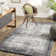 Dunkley Abstract Machine Woven Area Rug in