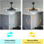 Jacoby-Leyva 20'' Ceiling Fan with Light Kit