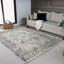 Tapis oriental argenté 5X7 Iser-9187202