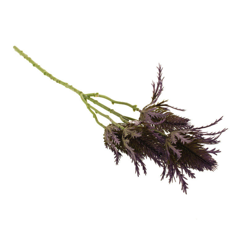 Eryngium Arrangement