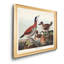 Ruddy Duck - reproduction d'art sur toile-2110390603-2110390602