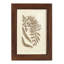 Meggan Sepia Ferns III, reproduction d'art encadrée-1347575828-1347576298