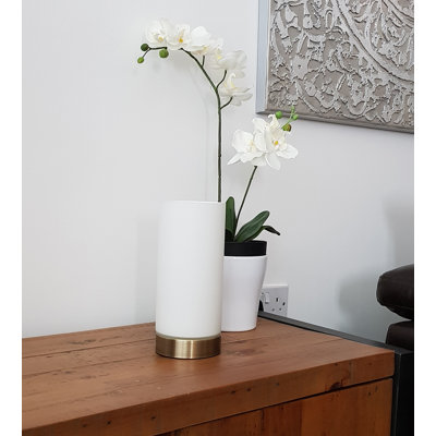 Alasan Lamp