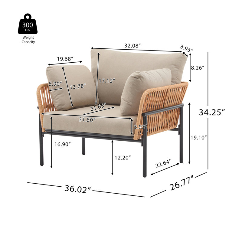 [Set of 2] 36" Iron Lounge Chair with Rope Weave Design and Plush Cushions, Black