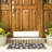 Madhu Performance Indoor/Outdoor Area Rug-1785032945