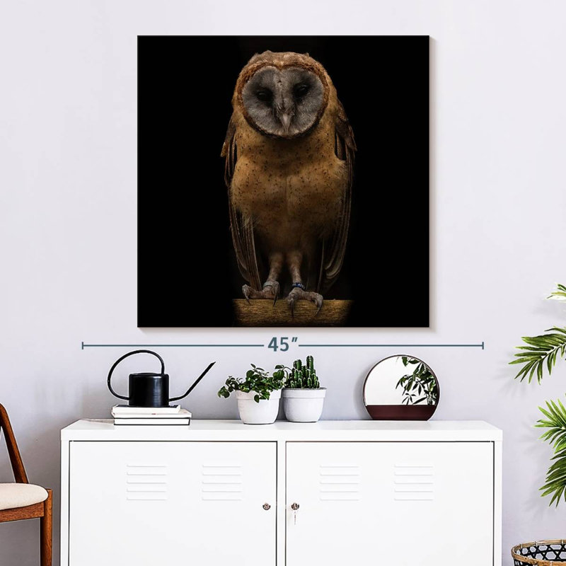 Brampt Ashy Faced Owl, 33" H x 33" W
