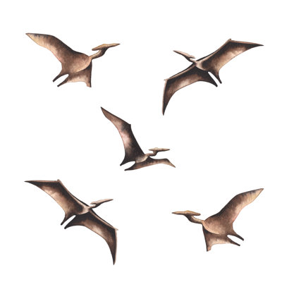 Animals Non-Wall Damaging Wall Decal