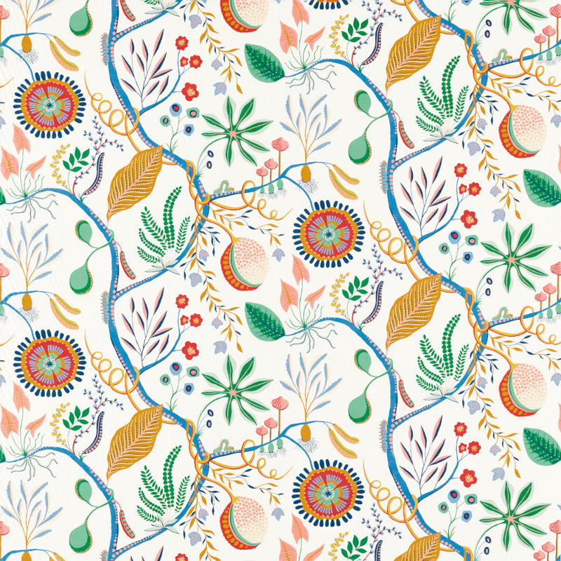 Jackfruit And The Beanstalk - Midnight, Popsicle