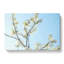 A White Cherry Blossom Tree In Abstract - Wrapped Canvas Print-55300432