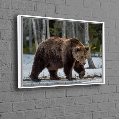 Large Brown Bear Canvas Poster with Animal Print Perfect as Artistic Man Cave Decor or Personalized Wedding Gift For Couples