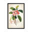 «Plumeria Botanical Print», impression sur toile-28621447-72411674-72411675