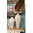 Lily's Living Light Gray Cement Decorative Bottle-76393132