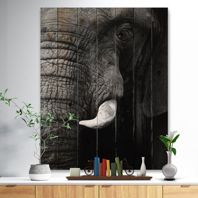 Elephant Head Close Up " Elephant Head Close up " Color Photography Print