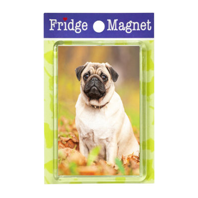 Fridge Magnet