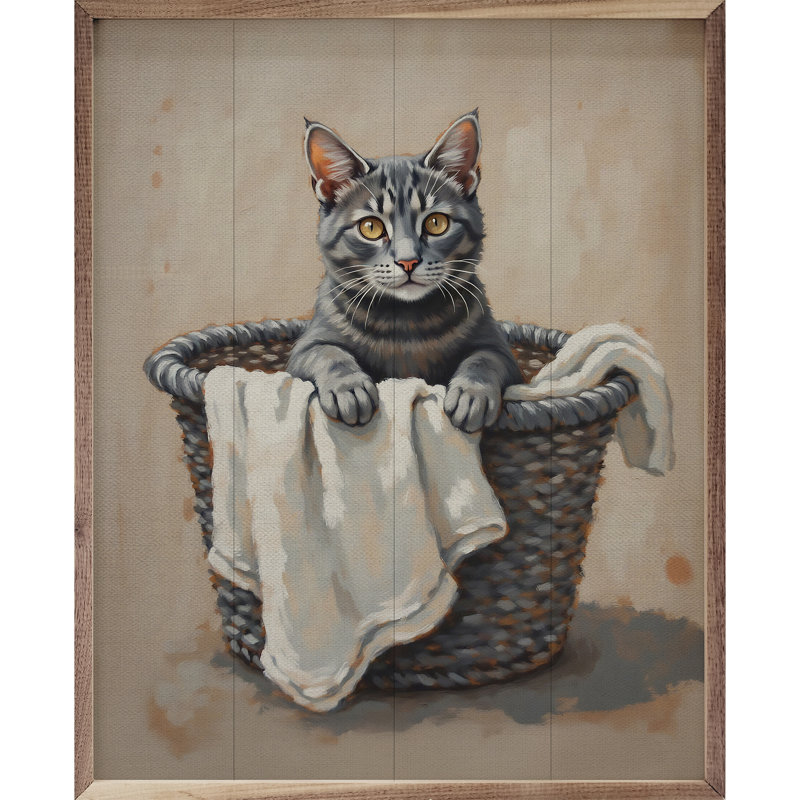 Chat gris dans un panier à linge, H 30 po x l 24 po